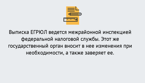 Почему нужно обратиться к нам? Торжок Выписка ЕГРЮЛ в Торжок ?