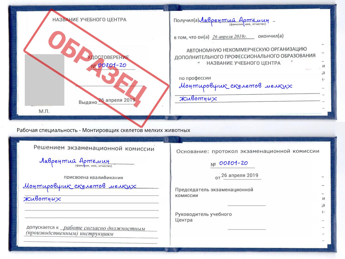 Монтировщик скелетов мелких животных Торжок