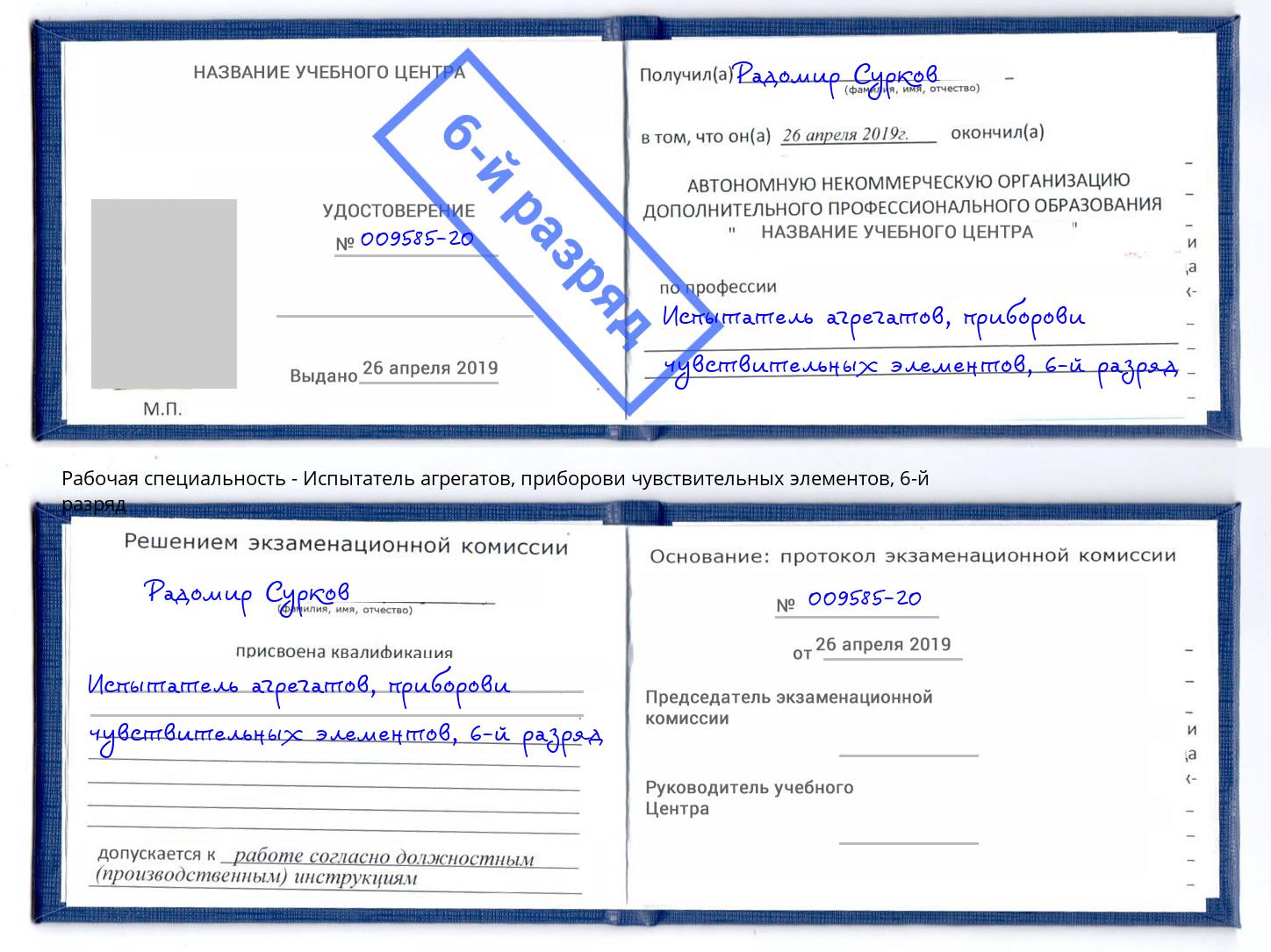 корочка 6-й разряд Испытатель агрегатов, приборови чувствительных элементов Торжок