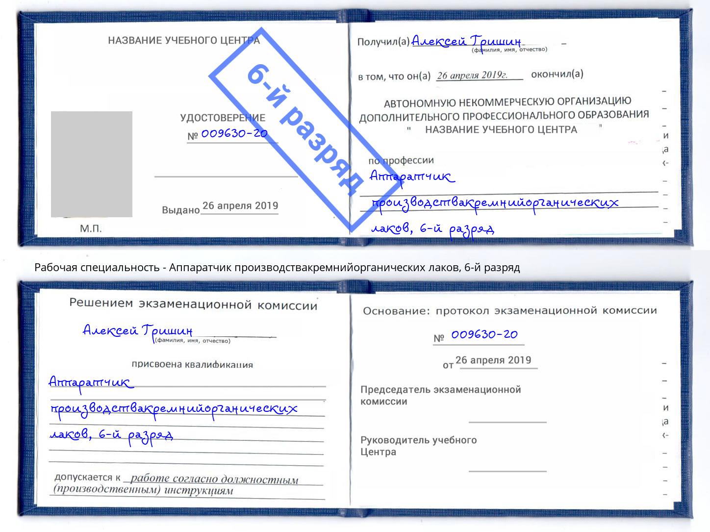 корочка 6-й разряд Аппаратчик производствакремнийорганических лаков Торжок