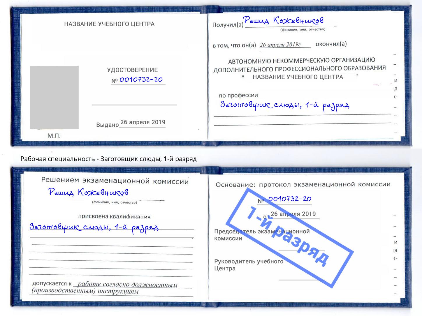 корочка 1-й разряд Заготовщик слюды Торжок