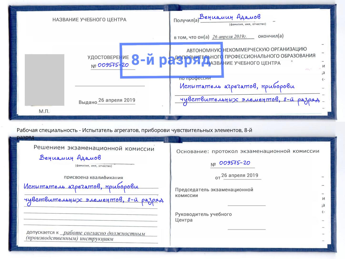 корочка 8-й разряд Испытатель агрегатов, приборови чувствительных элементов Торжок